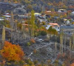 10483166 1486447198265695 6123235999817610400 n1