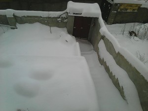 Photo0327
