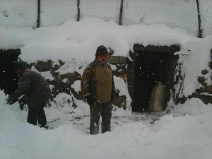 Photo0331