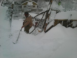 Photo0332