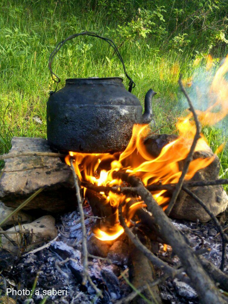 چای دودی
