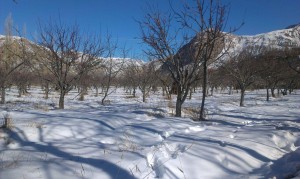photo 2015 12 15 15 39 27