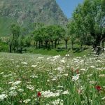 روستای تینه لاریجان