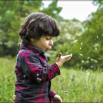 روستای کنارانجام لاریجان