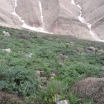 روستای لاسم لاریجان