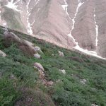 ارتفاعات روستای لاسم لاریجان