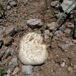 photo 2016 05 26 17 32 10