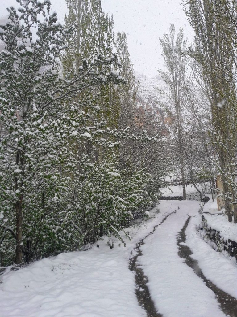 برف بهاری در روستای گیلاس لاریجان