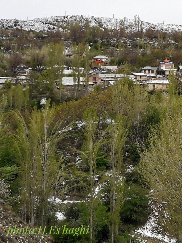 برف بهاری در روستای گیلاس لاریجان