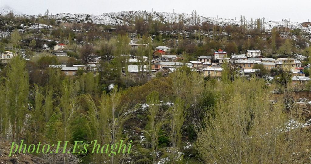 برف بهاری در روستای گیلاس لاریجان