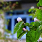 IMG 20180426 101920 464